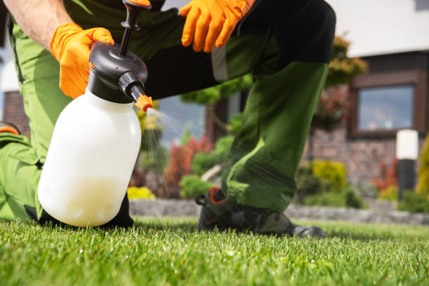 Best Flea Control Services  in Meron Park, CA