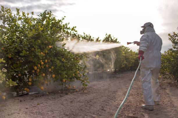 Trusted Cameron Park, CA Pest Control Experts