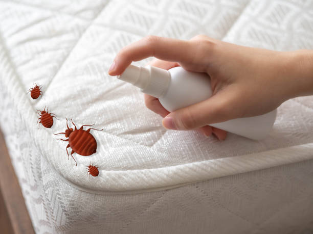  Meron Park, CA Pest Control Pros