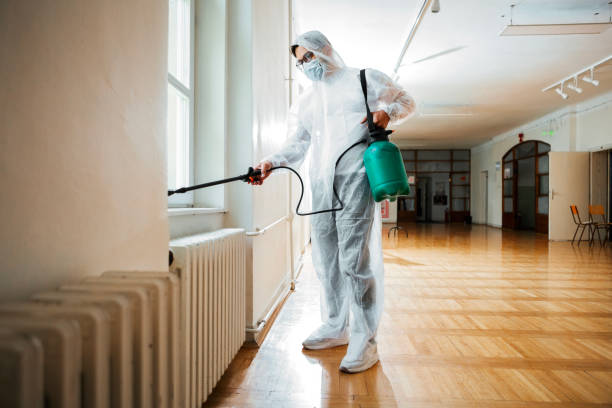 Best Bed Bug Extermination  in Meron Park, CA